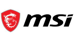 MSI Store